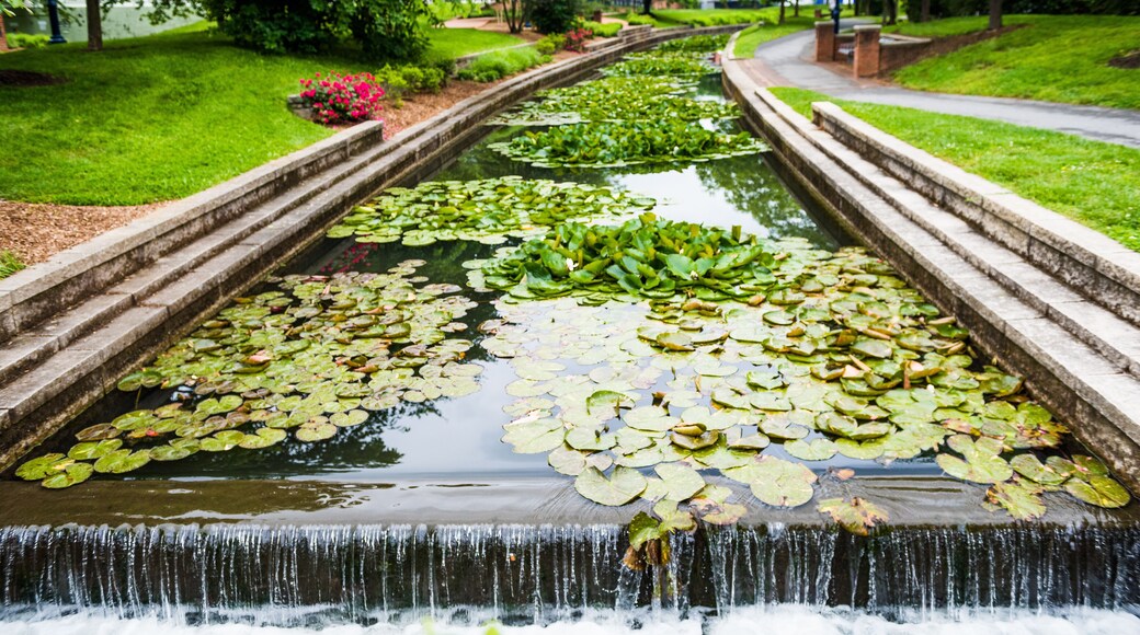Carroll Creek in Frederick, Maryland city park with canal and fountain waterfall and flowers in summer