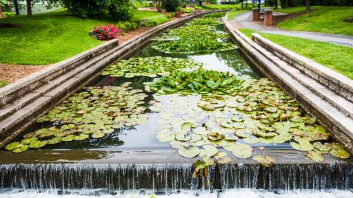 バレンジャー クリーク