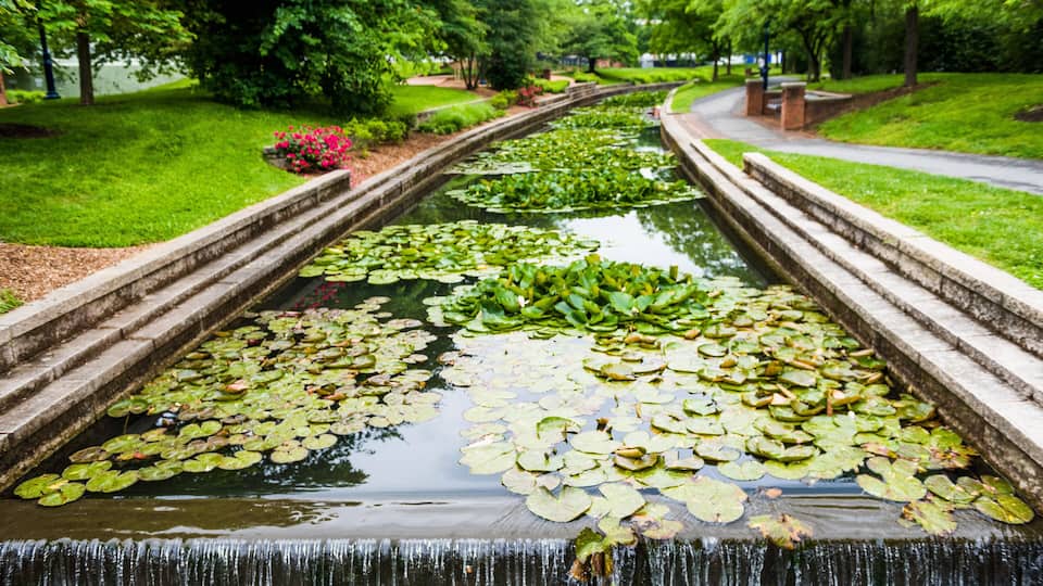 A water feature with lily pads and a small waterfall.