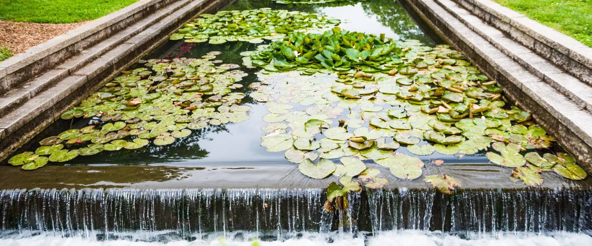 A water feature with lily pads and a small waterfall.