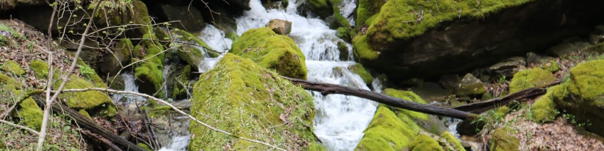 Spring hiking while enjoying nature and wild flowers.