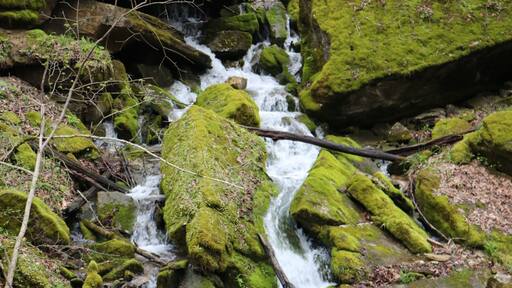 Spring hiking while enjoying nature and wild flowers.