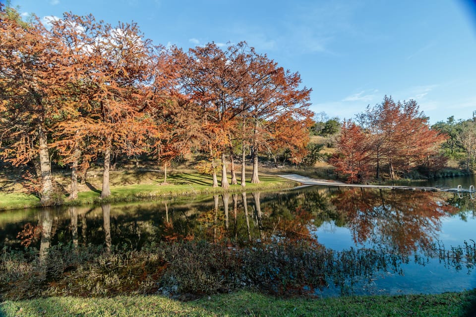 A serene pond surrounded by autumn-colored trees and a clear blue sky.