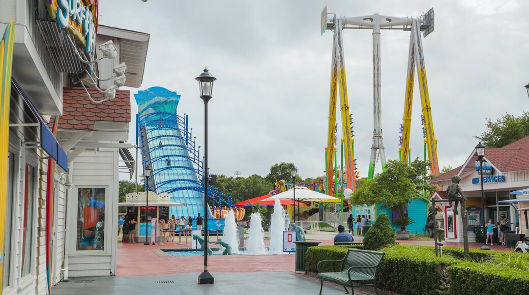 OD Pavilion Amusement Park showing rides