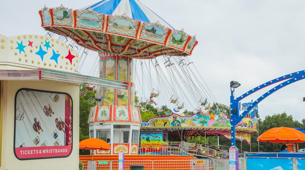 OD Pavilion Amusement Park featuring rides