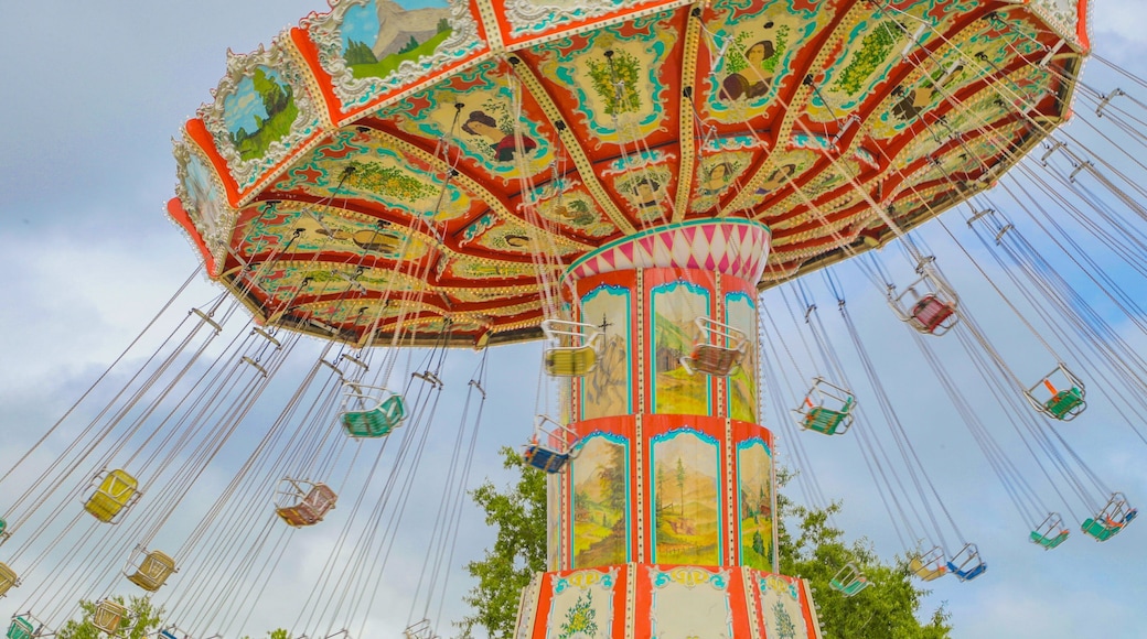 OD Pavilion Amusement Park featuring rides