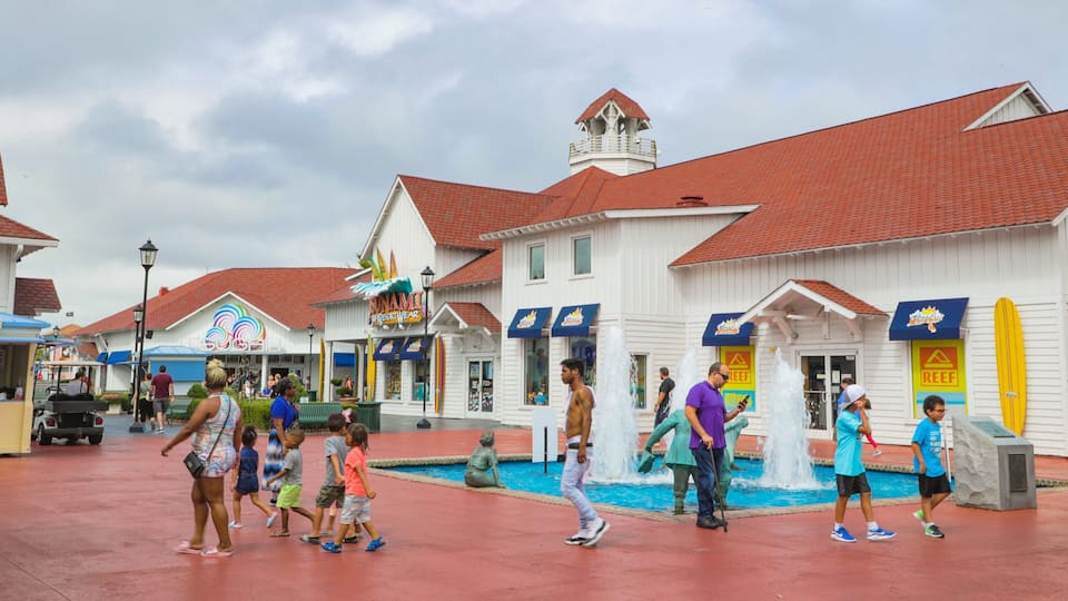 OD Pavilion Amusement Park which includes a fountain and street scenes
