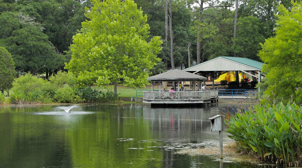 McLean Park which includes a fountain and a pond