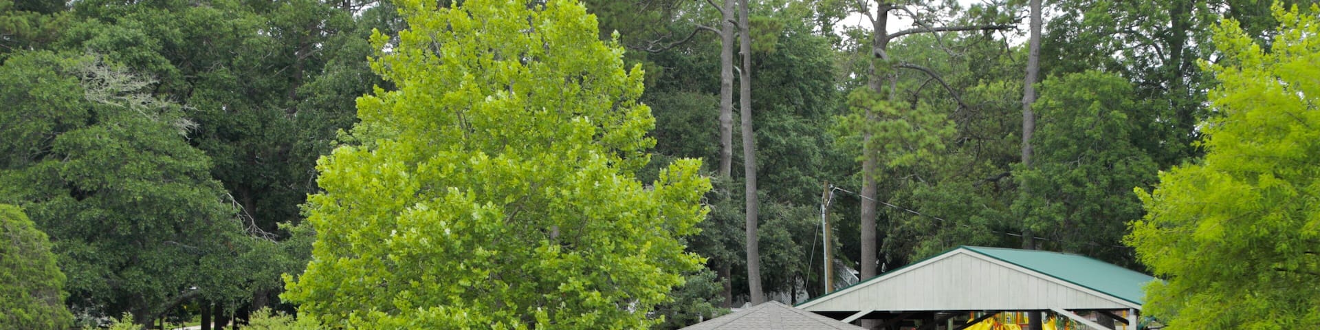 McLean Park which includes a fountain and a pond