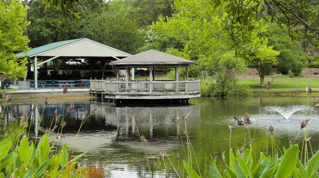 McLean Park which includes a fountain and a pond