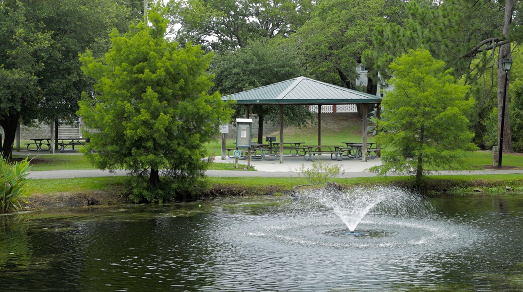 McLean Park featuring a pond and a fountain