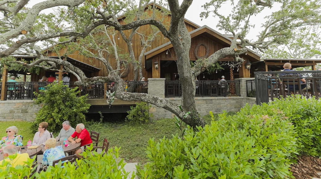 Duplin Winery showing outdoor eating as well as a small group of people