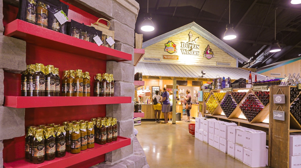 Duplin Winery which includes interior views as well as a small group of people