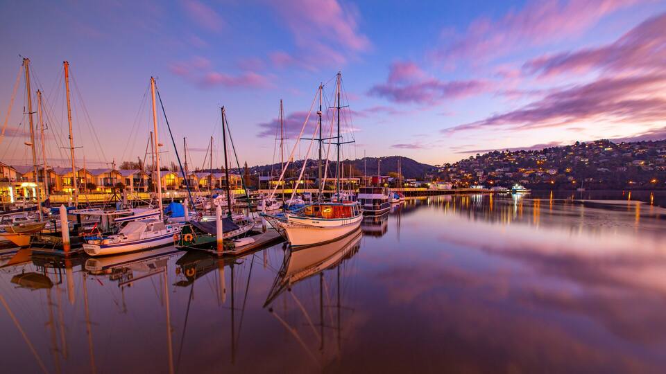 A marina with several sailboats docked at sunset.