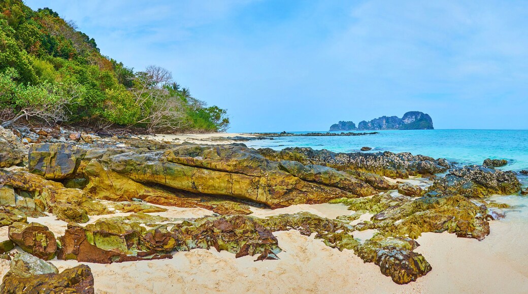 เกาะไผ่