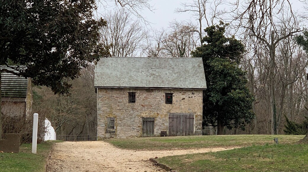 Discovered Beautiful Odessa