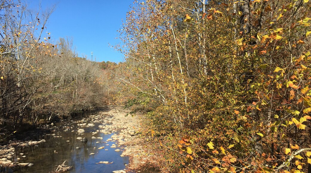 Little Pigeon River, Shutterstock ID 1359648851, Purchase Order: SP-1891 Wave 0, Client/Licensee: Hotels.com