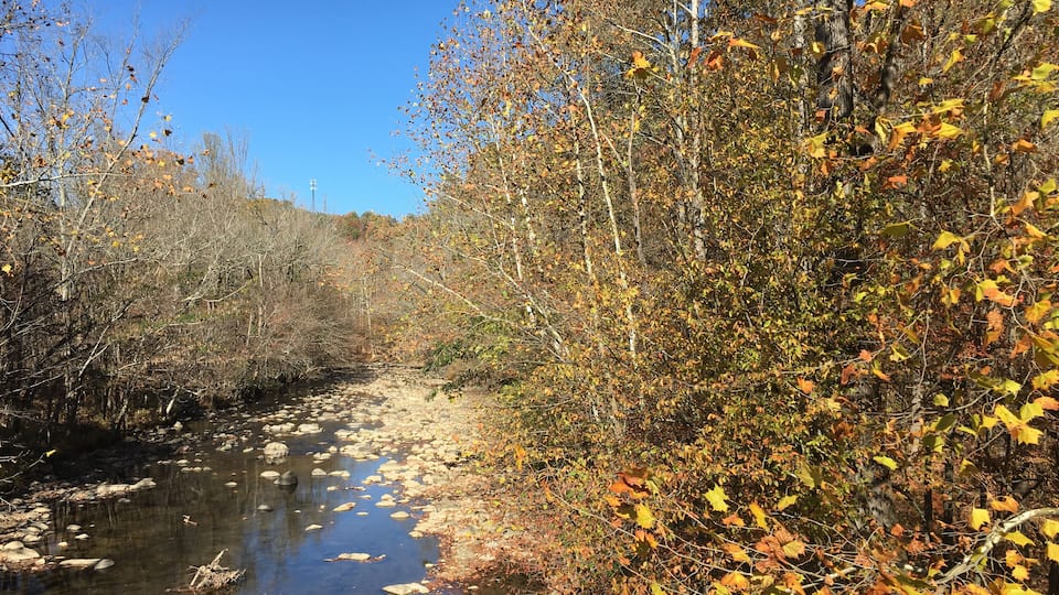 A river with clear water, surrounded by autumn foliage and trees.