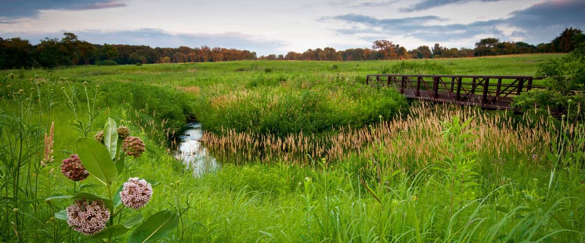 A small stream winds its way through a prairie landscape in summer.