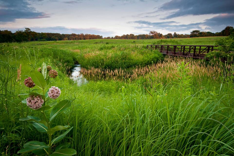 Un río serpentea por un campo verde y exuberante, con un puente de madera y pastos altos.