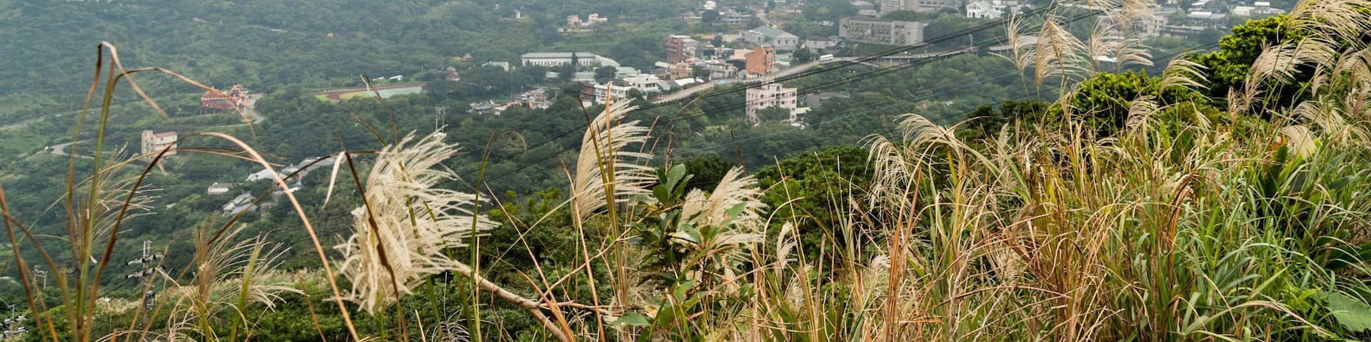 Un paisaje montañoso con un pueblo enclavado entre las colinas, rodeado de vegetación exuberante y hierbas altas.