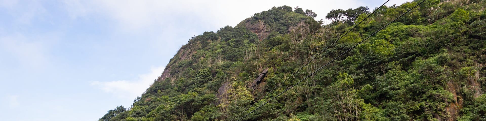 A wooden bridge with people walking on it, surrounded by lush green forest and a steep mountain.