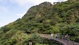 A wooden bridge with people walking on it, surrounded by lush green forest and a steep mountain.
