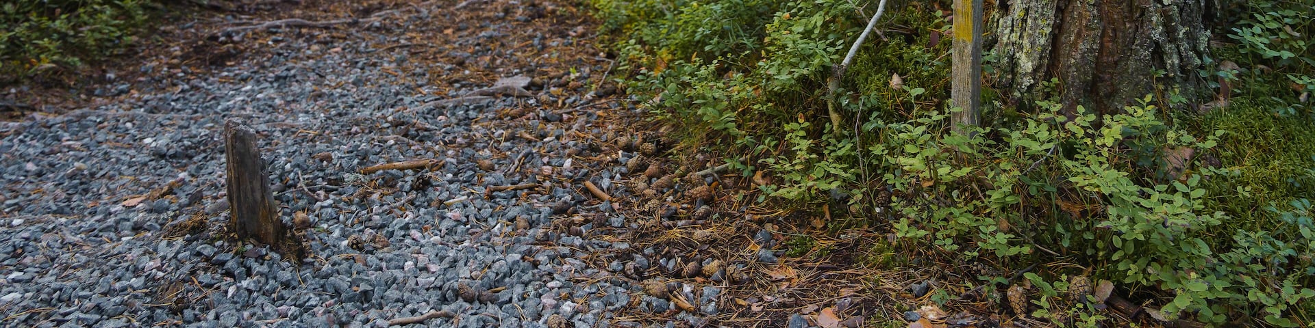 Wooden directional sign pointing towards Törmälä in Southern Konnevesi National Park