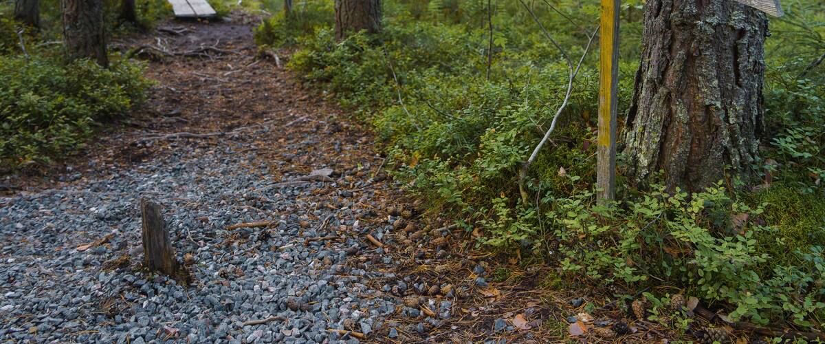 A forested area with a gravel path leading to a wooden sign that reads "FORMALA."