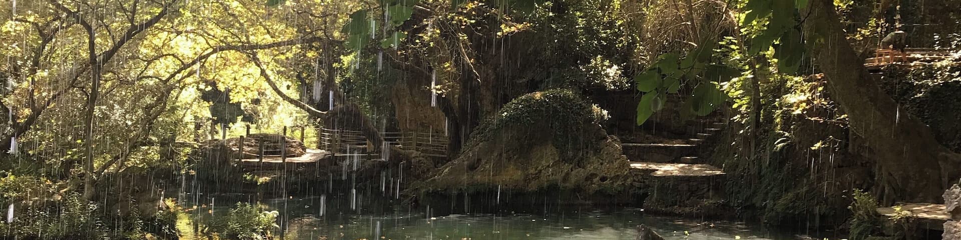 A serene pond with a waterfall, surrounded by lush greenery and trees.