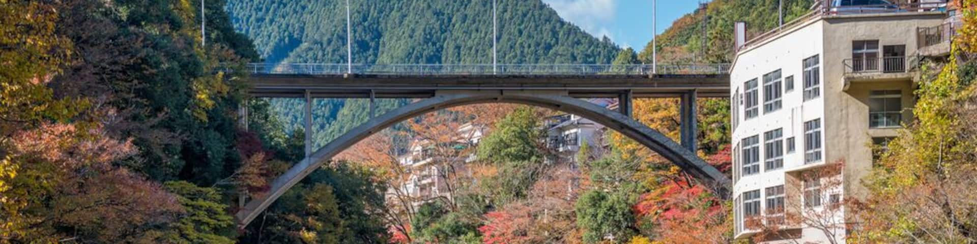 Mitake town and Tama river, beautiful small town in autumn season.