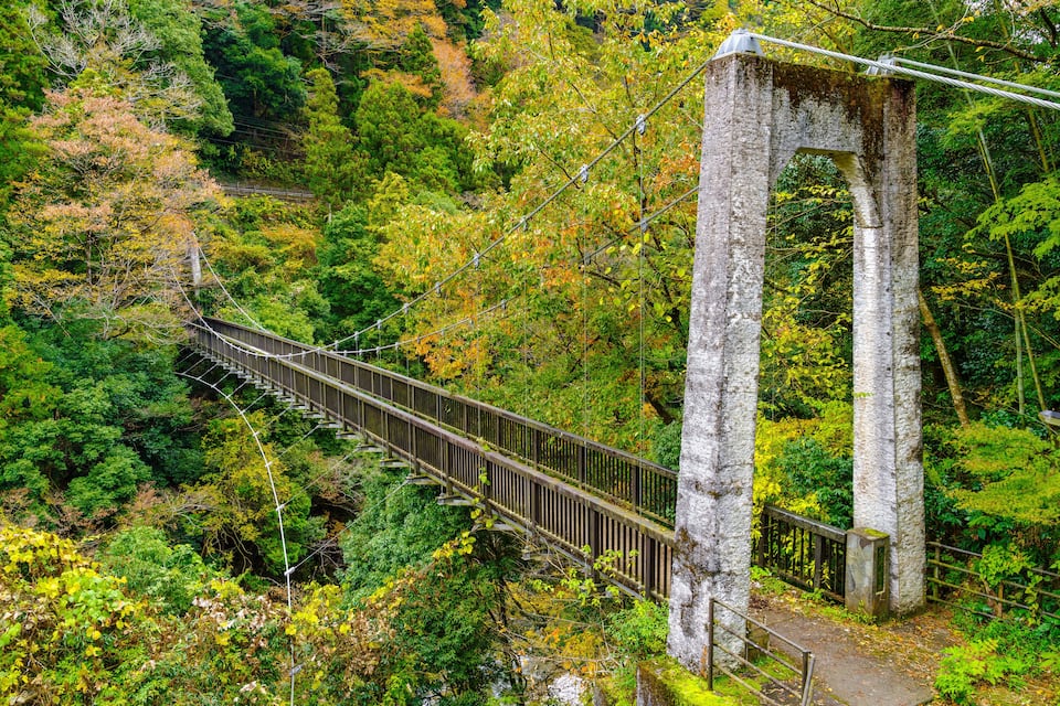 A suspension bridge in a forested area with a stone arch structure.