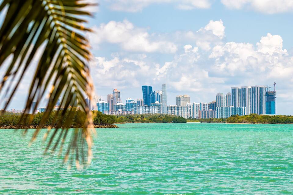 Horizonte urbano costero con aguas turquesa y hojas de palmera en primer plano.