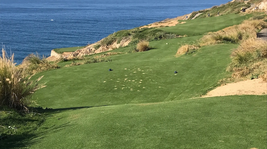 An interesting risk/reward par four along the Pacific Ocean; hole number five is 288 yards from the blue tees as a dogleg left but it is 207 yards downhill if you want to go for the green. #lifeatexpedia