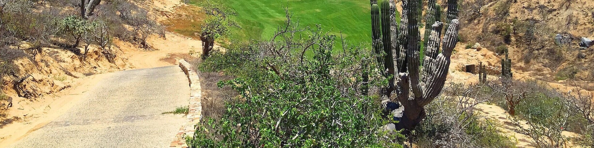 can't remember if this is a par 4 or par 5