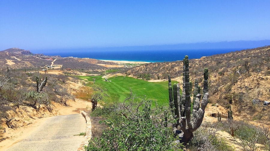 can't remember if this is a par 4 or par 5