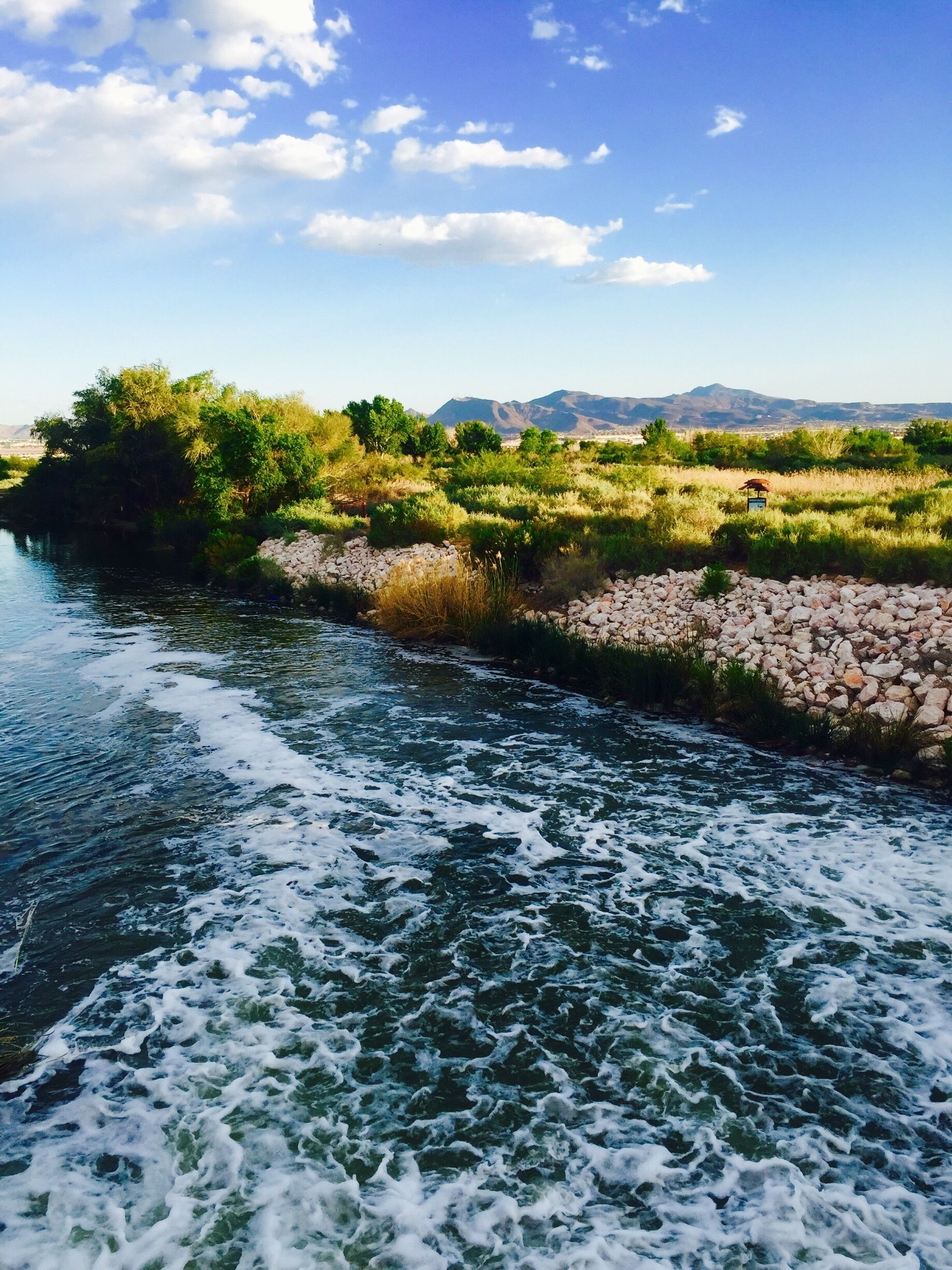 Gorgeous clear day for a walk at wetlands park. 