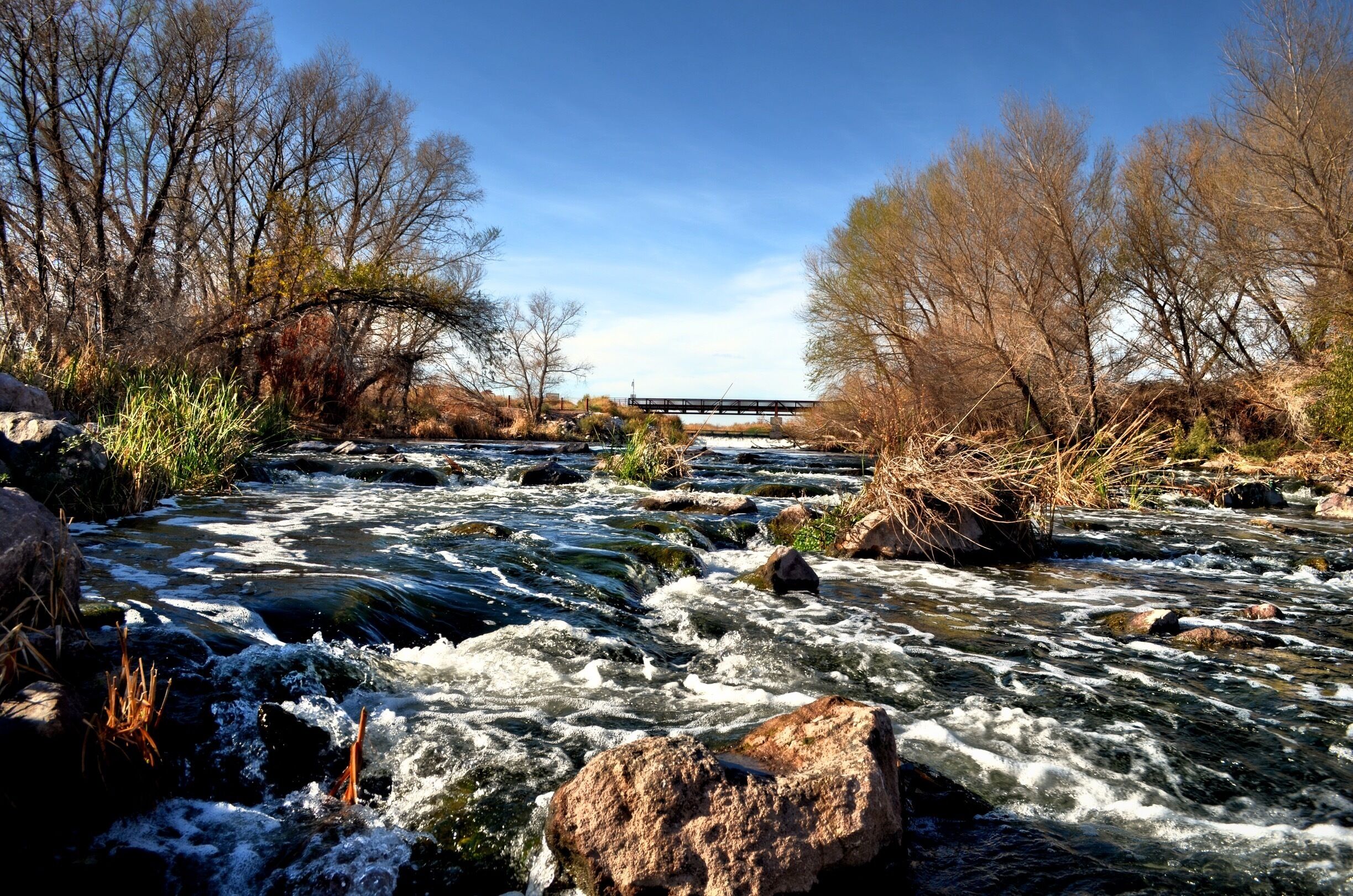 At the edge of town the Clark County Wetlands Park offers many trails to explore. There are over 300 species living in the park.