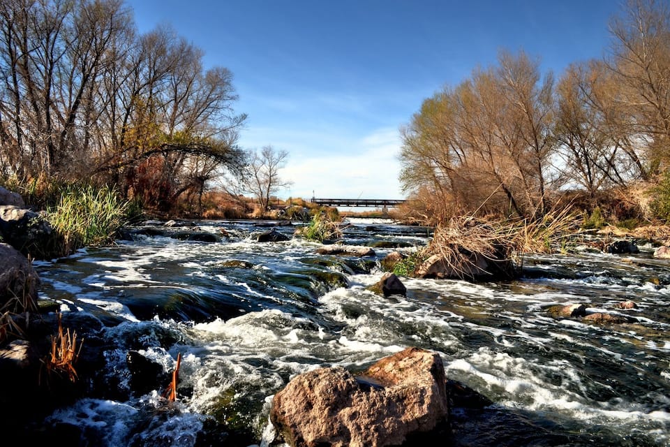 A river with rocks and trees, a bridge in the background.