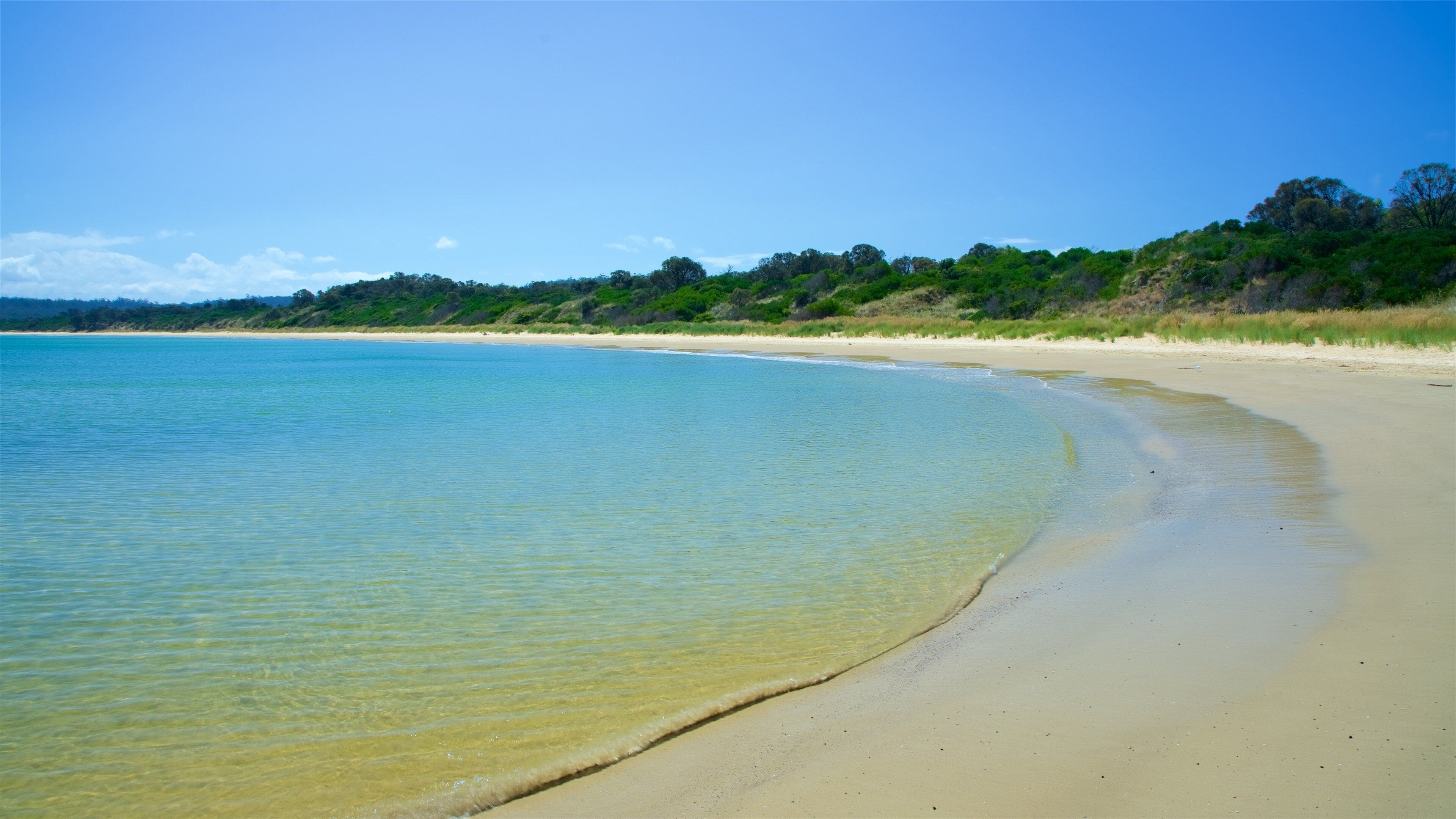 콜스베이 을 보여주는 모래 해변 과 일반 해안 전경