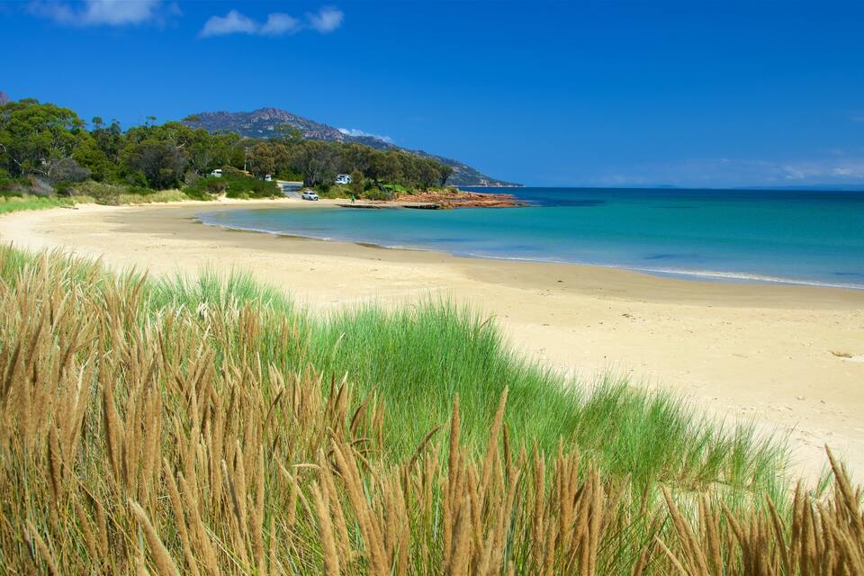 Une plage à l’eau turquoise et limpide, un rivage sablonneux et une montagne en arrière-plan.
