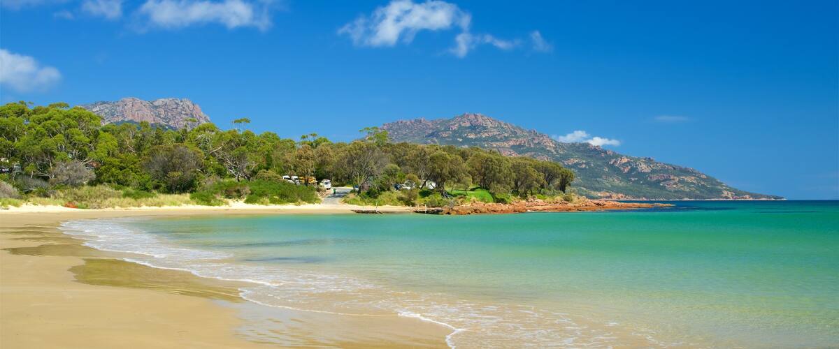 Muirs Beach which includes general coastal views and a beach