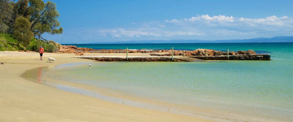 Muirs Beach featuring general coastal views and a sandy beach