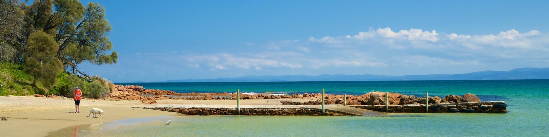 Muirs Beach featuring general coastal views and a sandy beach