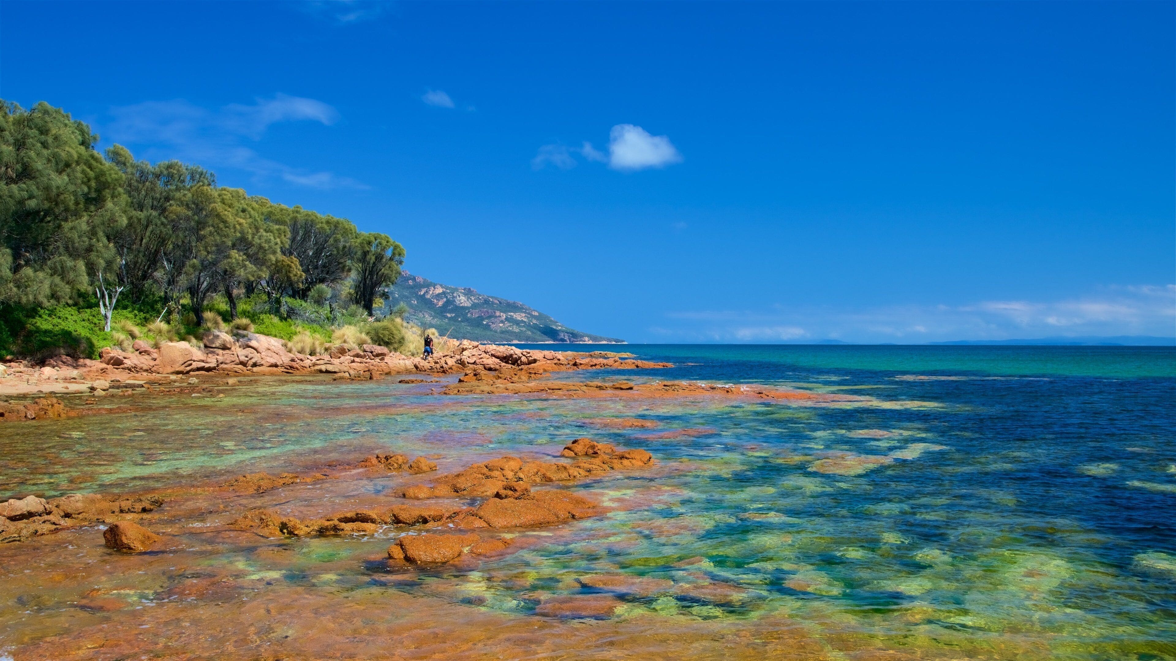 Coles Bay Conservation Area
