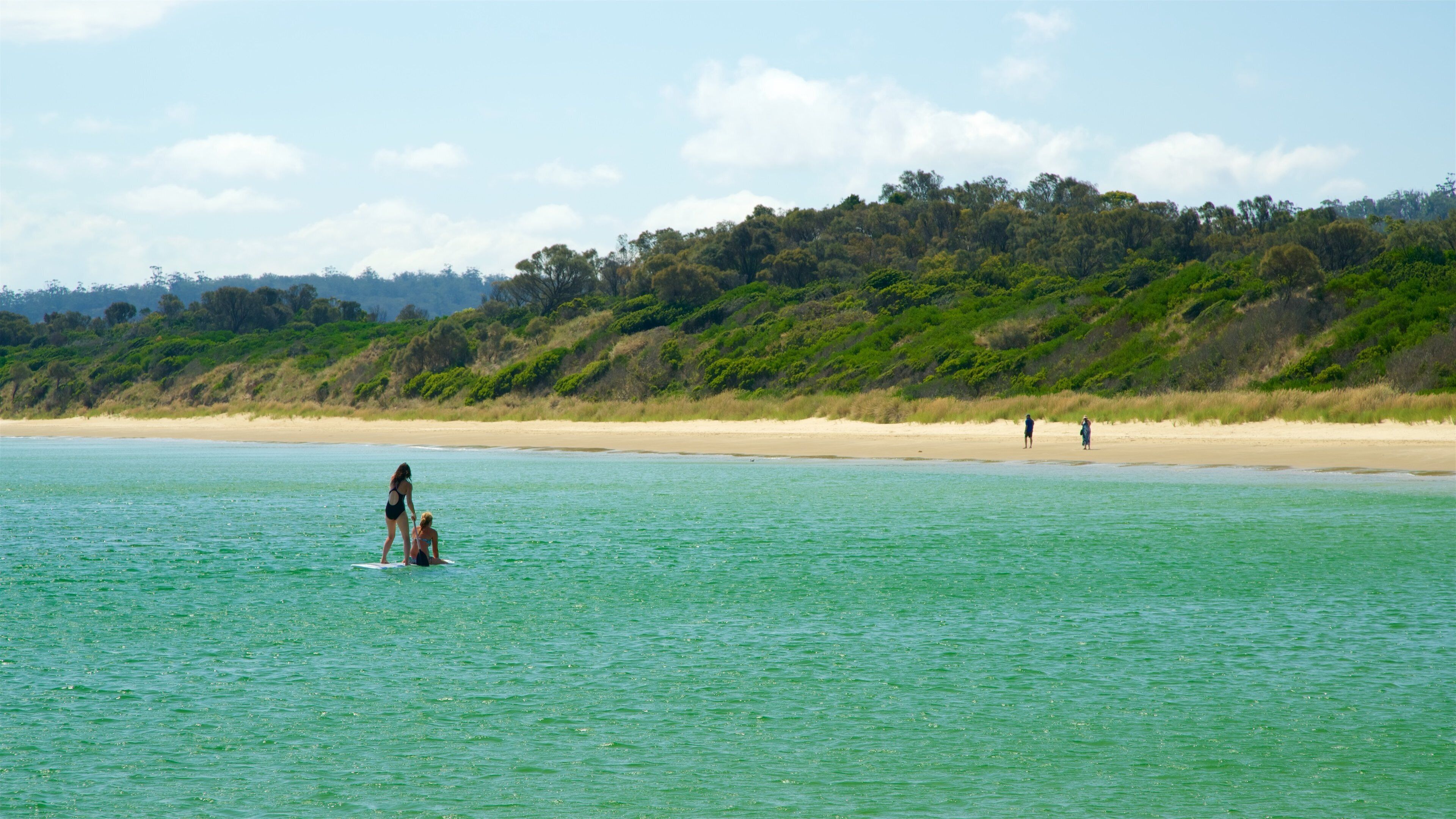 Coles Bay caracterizando cenas tropicais, uma praia de areia e surfe