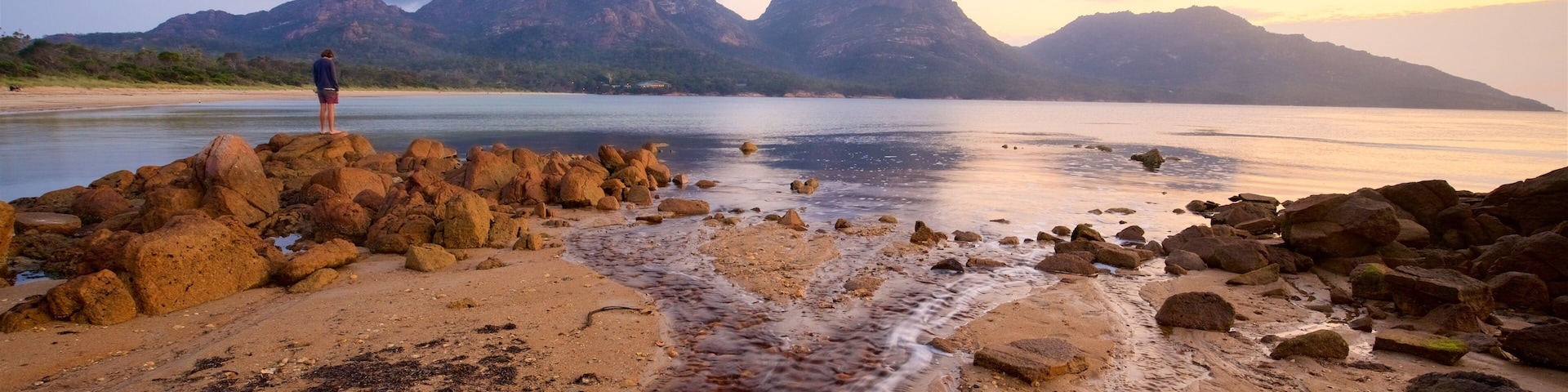 科爾斯灣 其中包括 夕陽, 綜覽海岸風景 和 崎嶇的海岸線