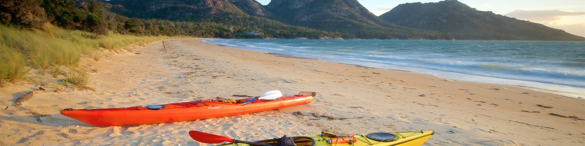 ์ฝ์ค๋ฒ ์ด ์ด ํฌํจ ๋ชจ๋ ํด๋ณ, ์ผ๋ฐ ํด์ ์ ๊ฒฝ ๊ณผ ์์ ์คํฌ์ธ