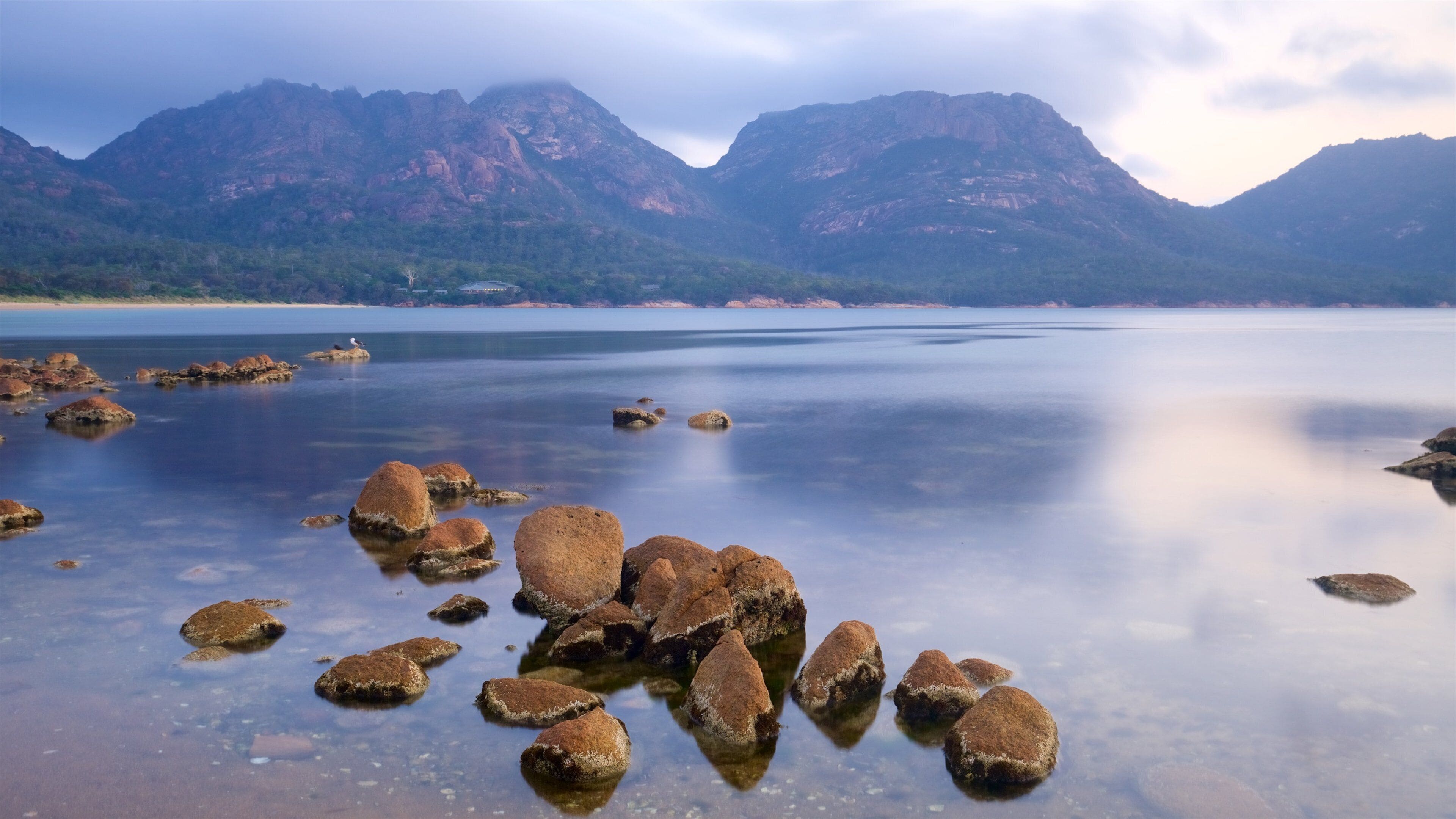 科爾斯灣 设有 綜覽海岸風景, 山 和 多岩石的海岸線