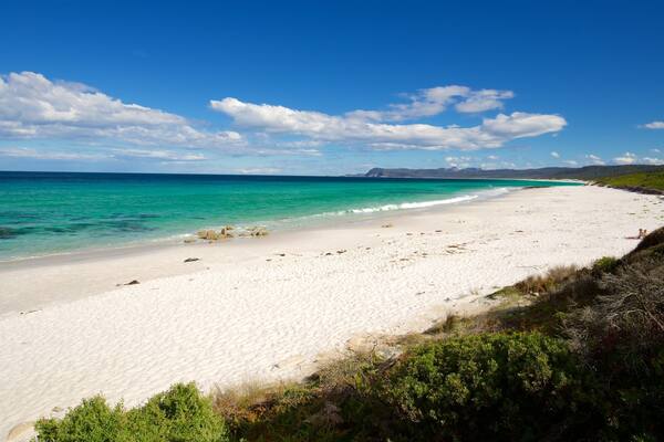 Tasmanie qui includes plage et vues littorales